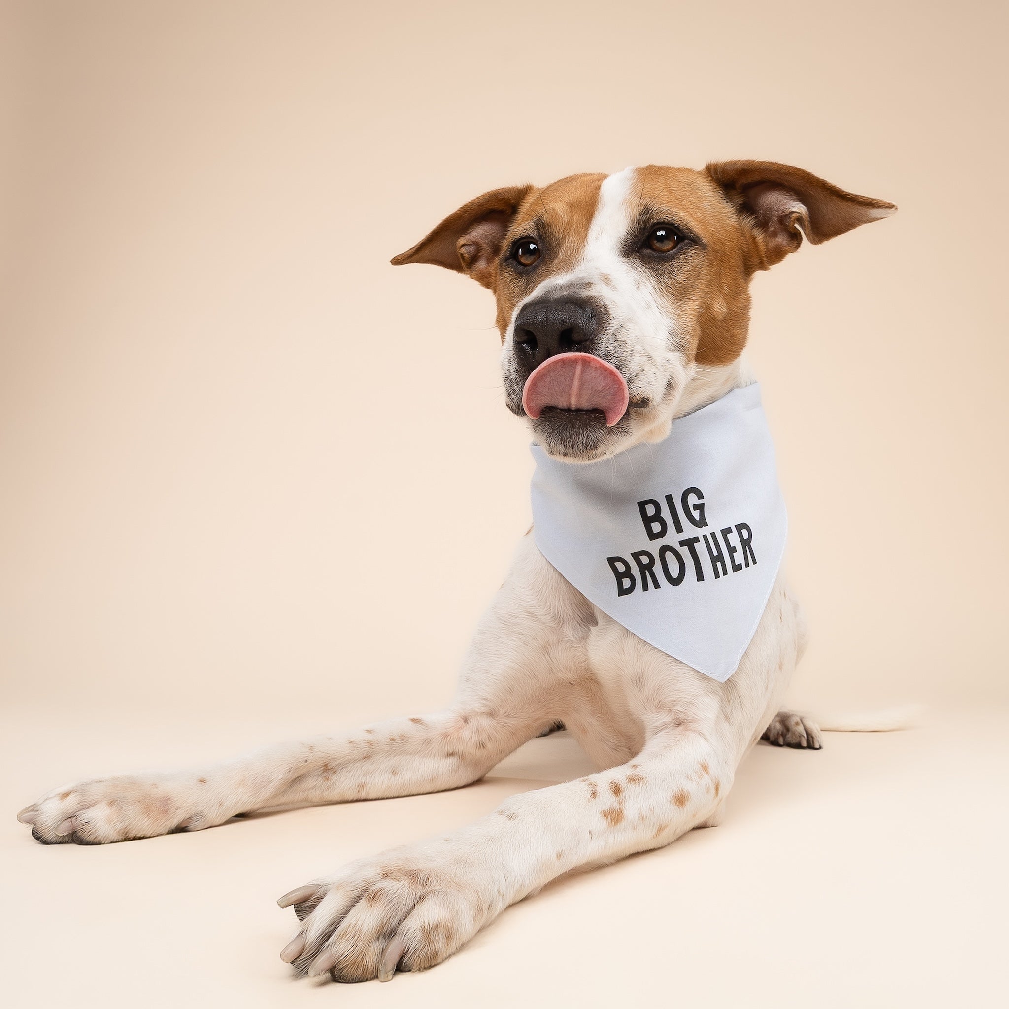My Big Brother Dog Bandana