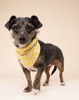 Birdie Dog Bandana