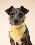 Birdie Dog Bandana