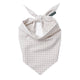 Biscuit Gingham