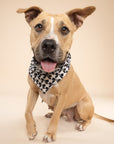 Black Tie Dog Bandana