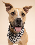Black Tie Dog Bandana