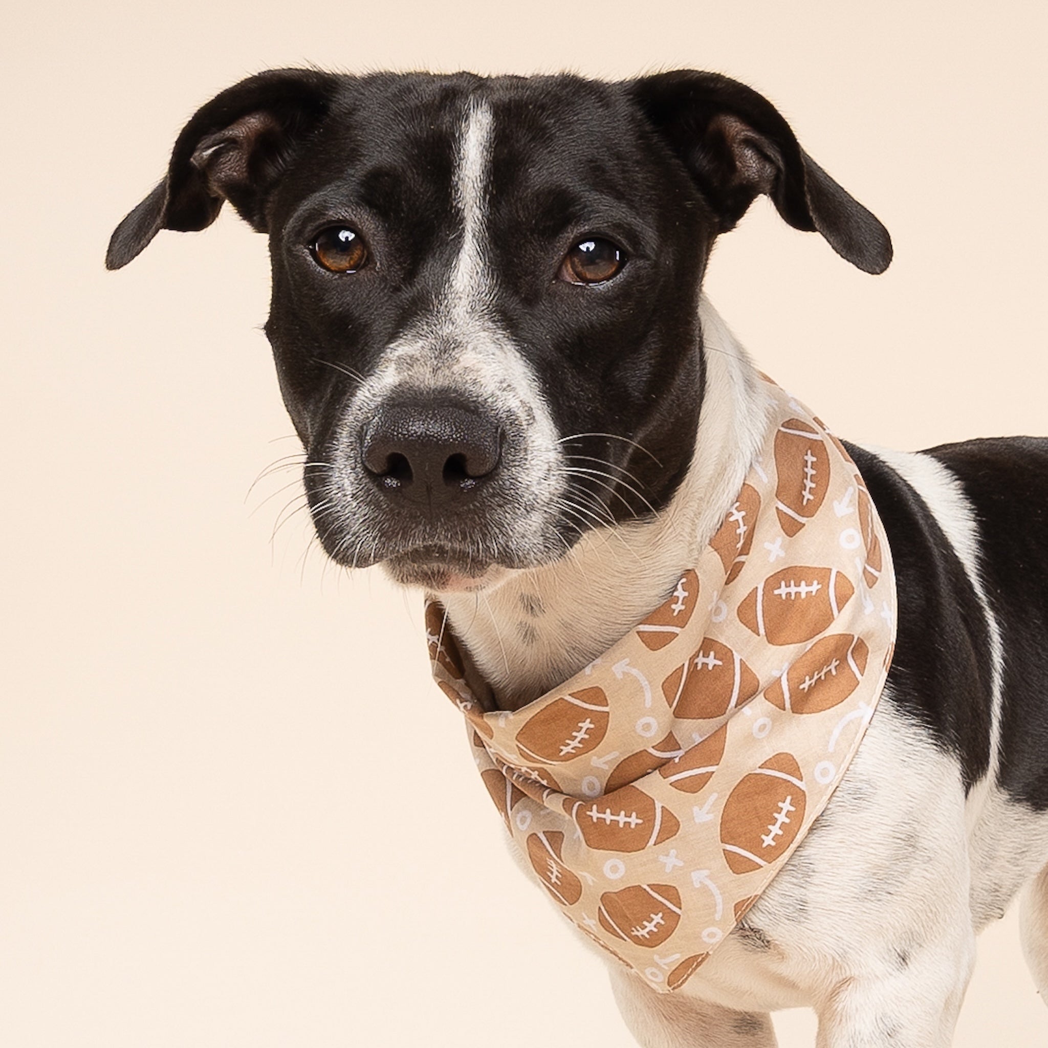 Blitz Football Dog Bandana
