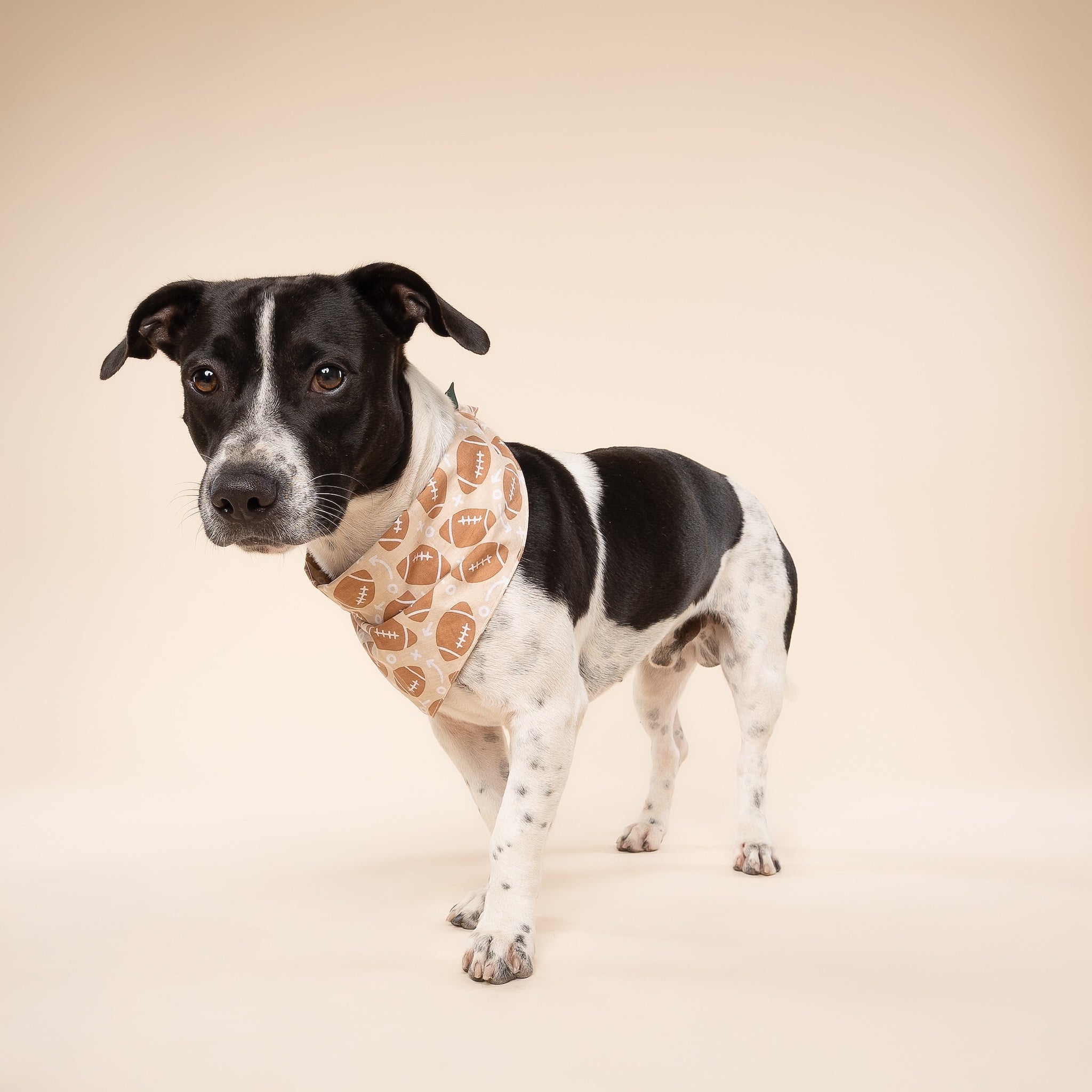 Blitz Football Dog Bandana