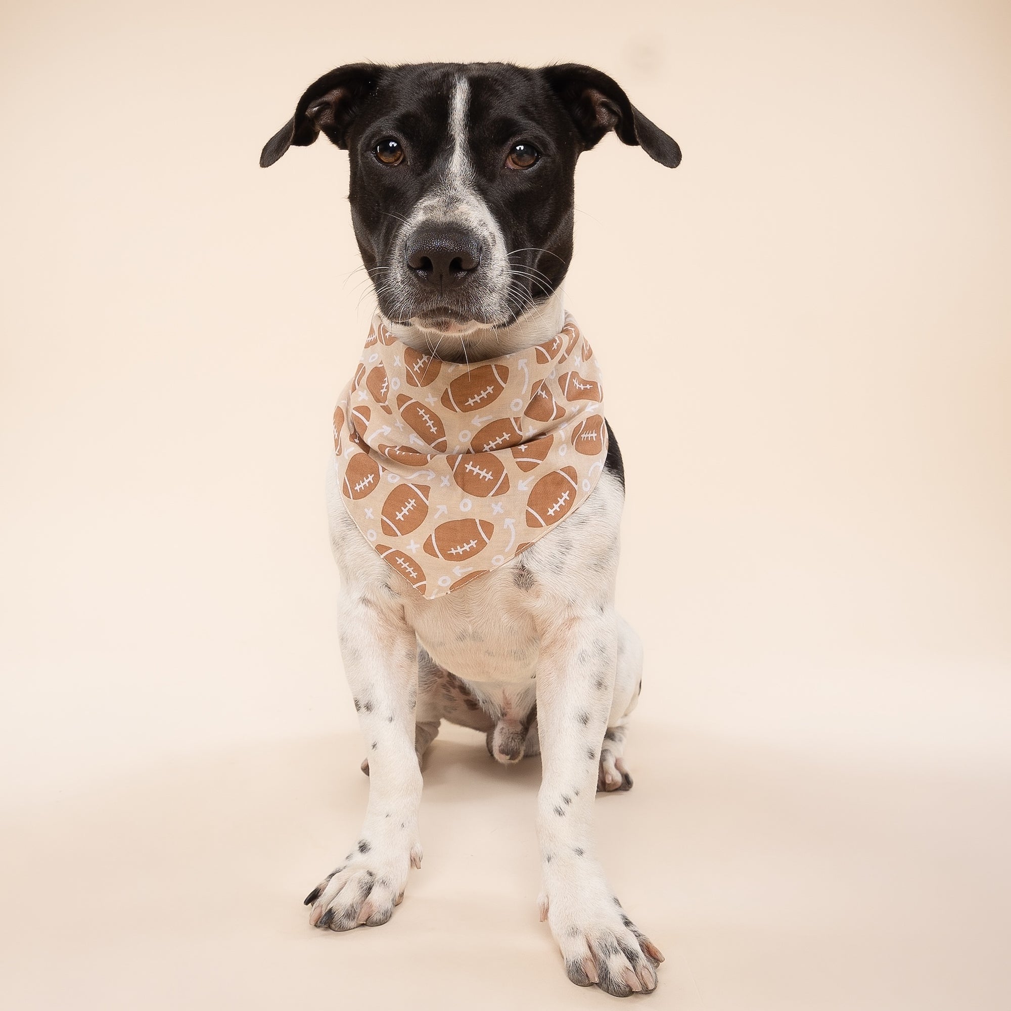 Blitz Football Dog Bandana