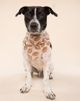 Blitz Football Dog Bandana