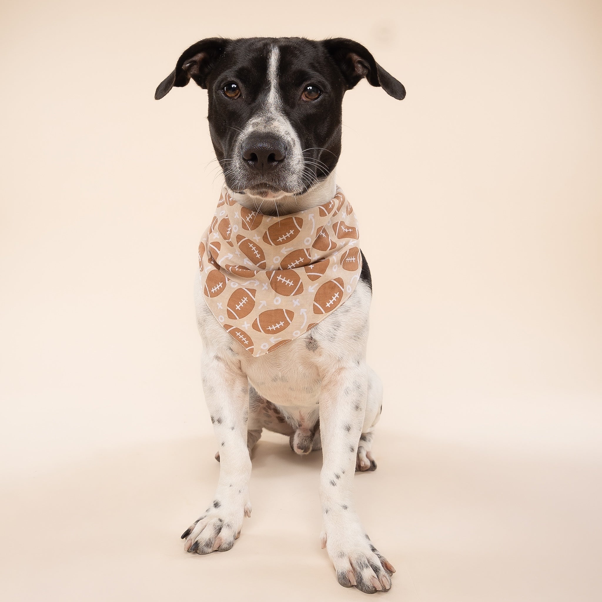 Blitz Football Dog Bandana