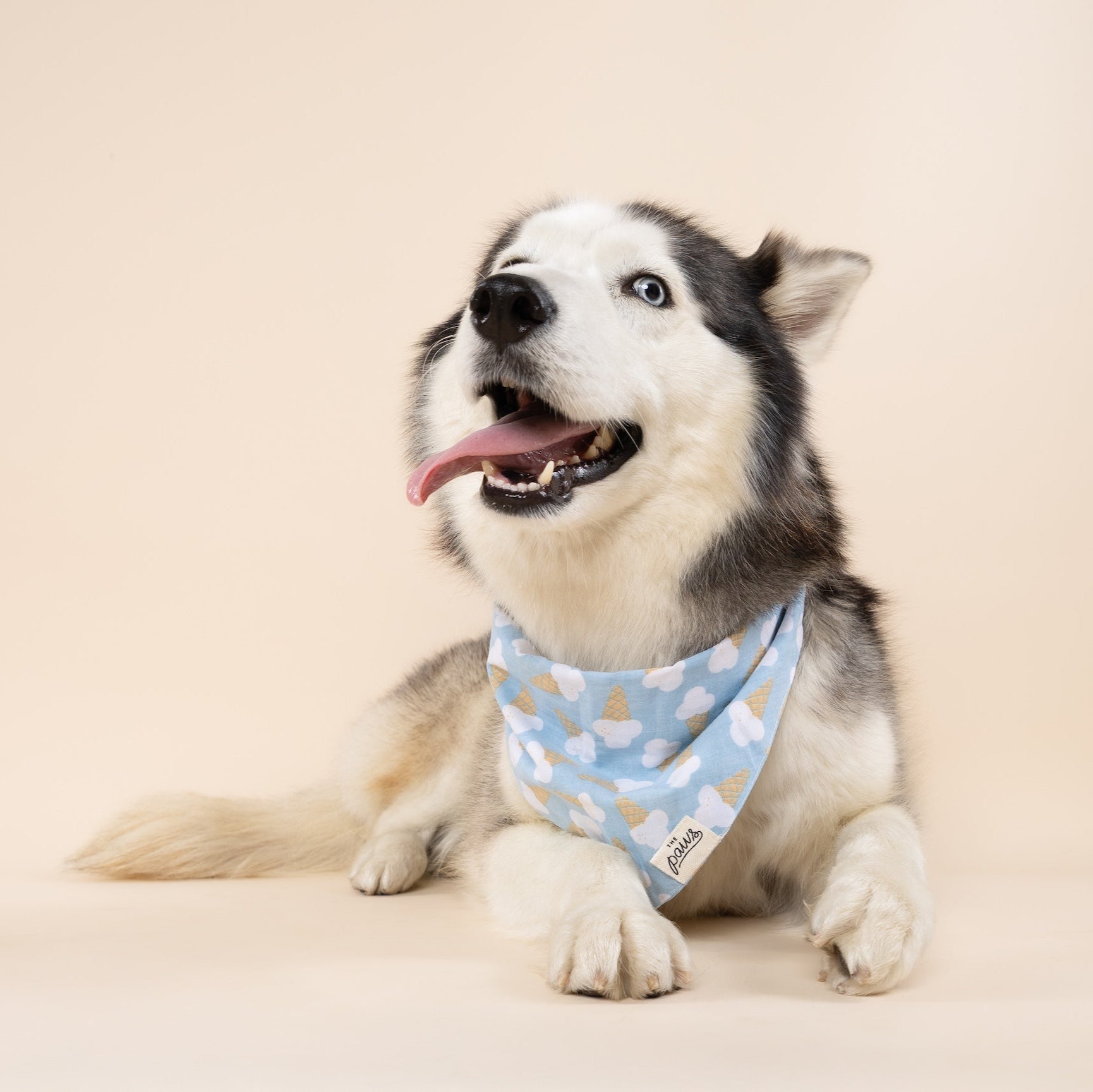 Blue Bell Ice cream Dog Bandana from The Paws