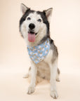 Blue Bell Ice cream Dog Bandana from The Paws II