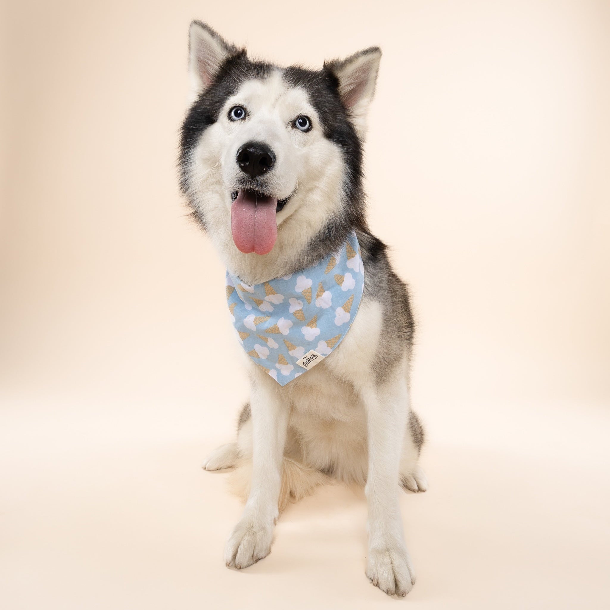 Blue Bell Ice cream Dog Bandana from The Paws II