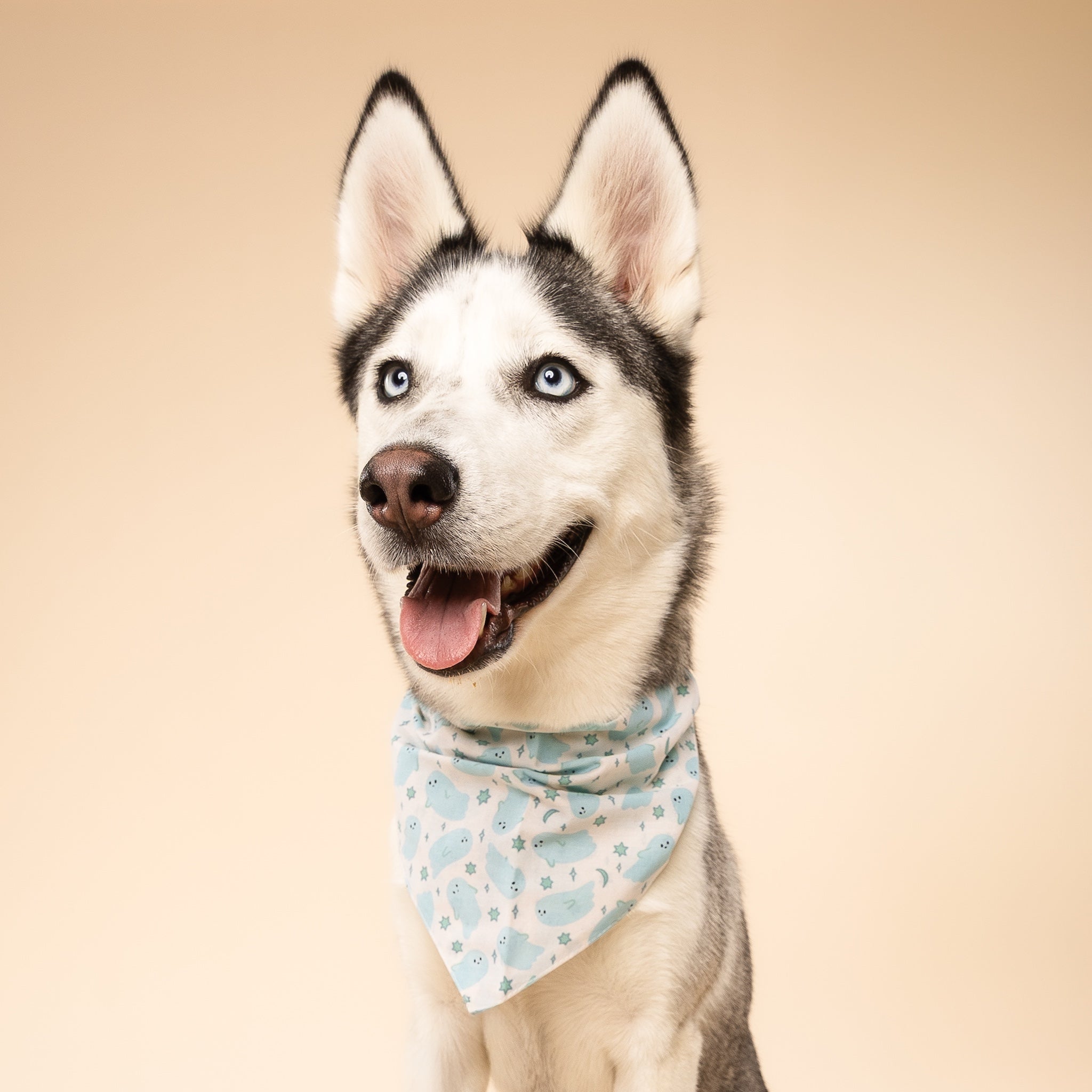 Blue Boo Halloween Dog Bandana