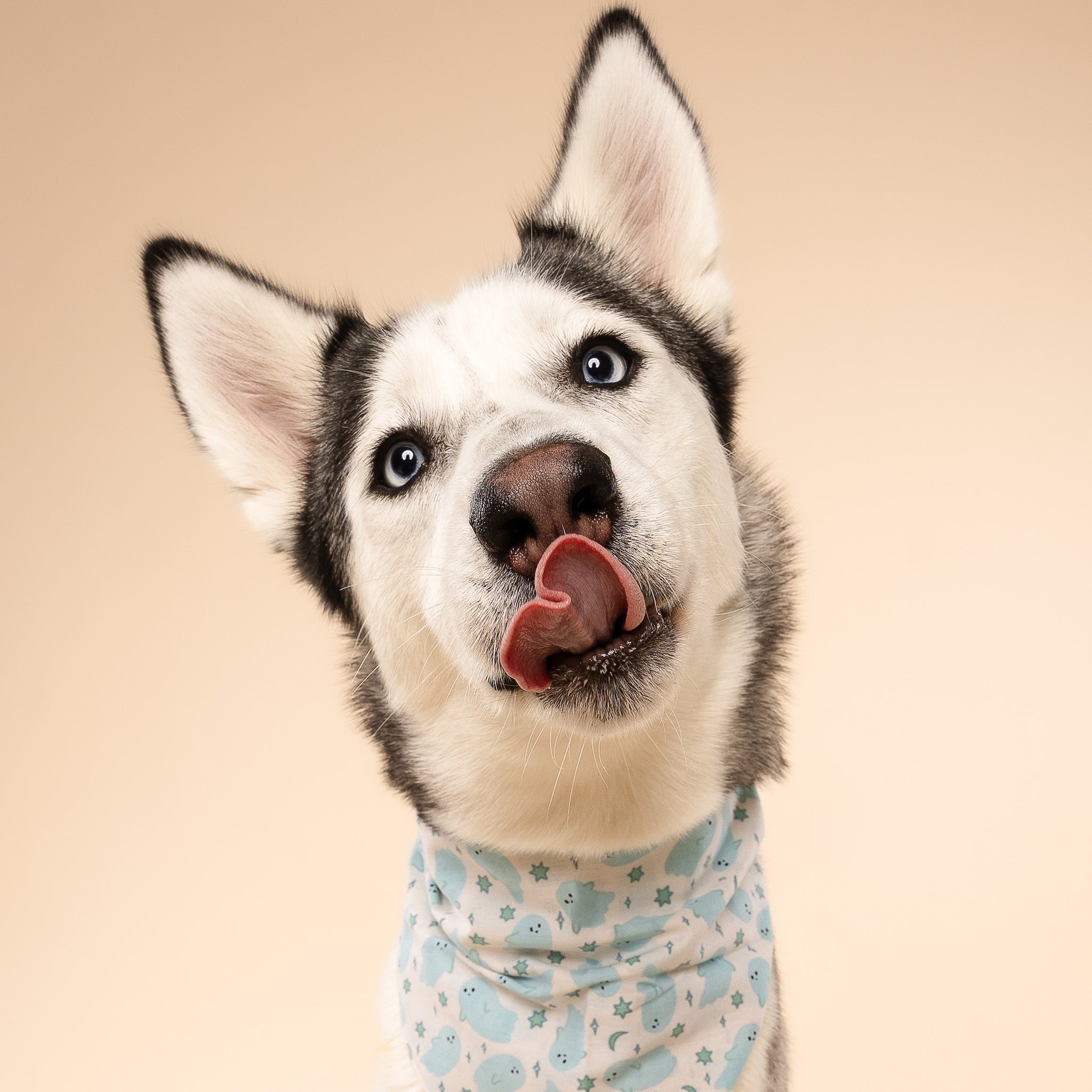 Blue Boo Halloween Dog Bandana