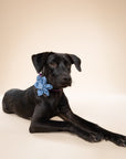 Collar Flower - Blue Gingham