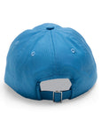 Dog Dad Blue Cap