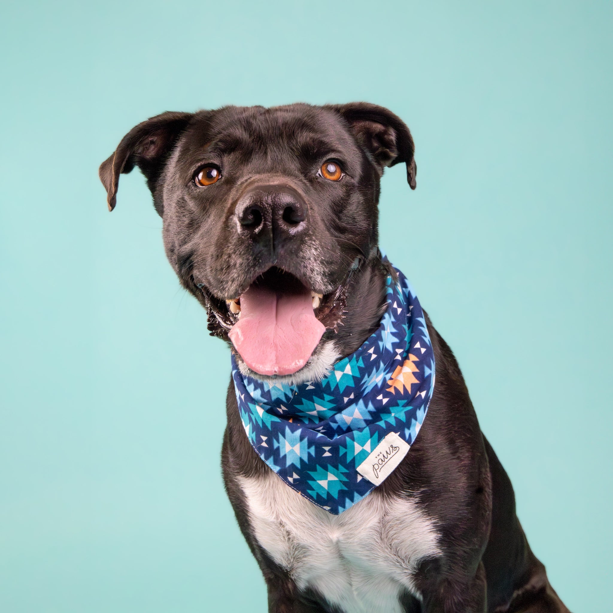 Blue Ridge - Dog Bandana from The Paws