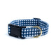 Blue Gingham