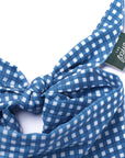 Blue Gingham Dog Bandana
