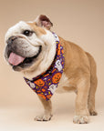 Boo Crew Dog Bandana