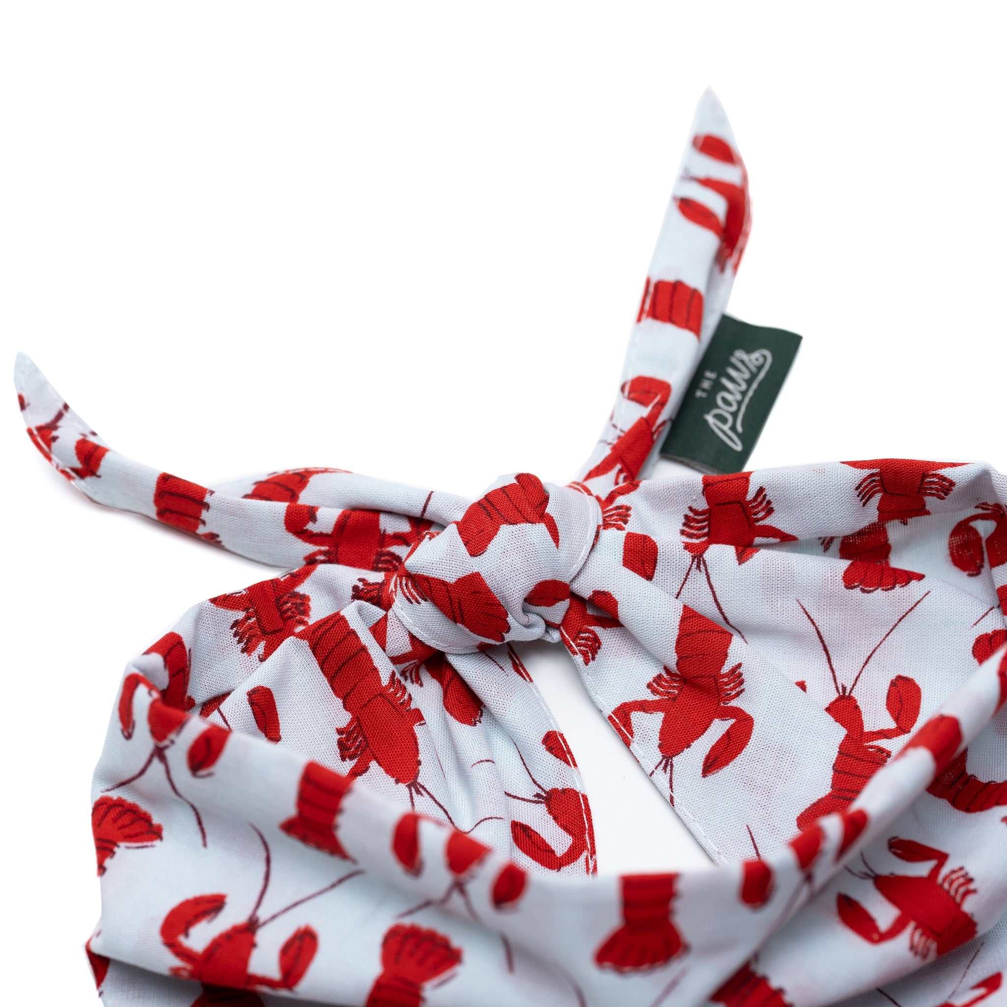 Boothbay Dog Bandana