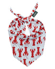 Boothbay Dog Bandana