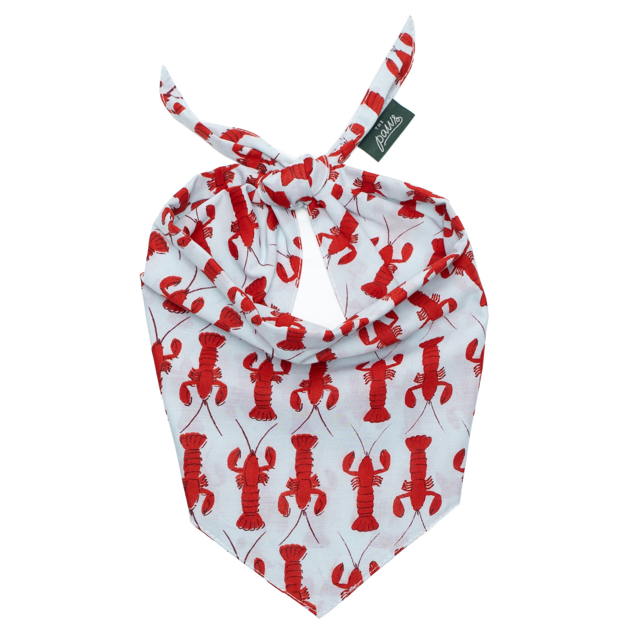Boothbay Dog Bandana
