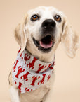 Boothbay Dog Bandana