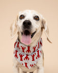 Boothbay Dog Bandana