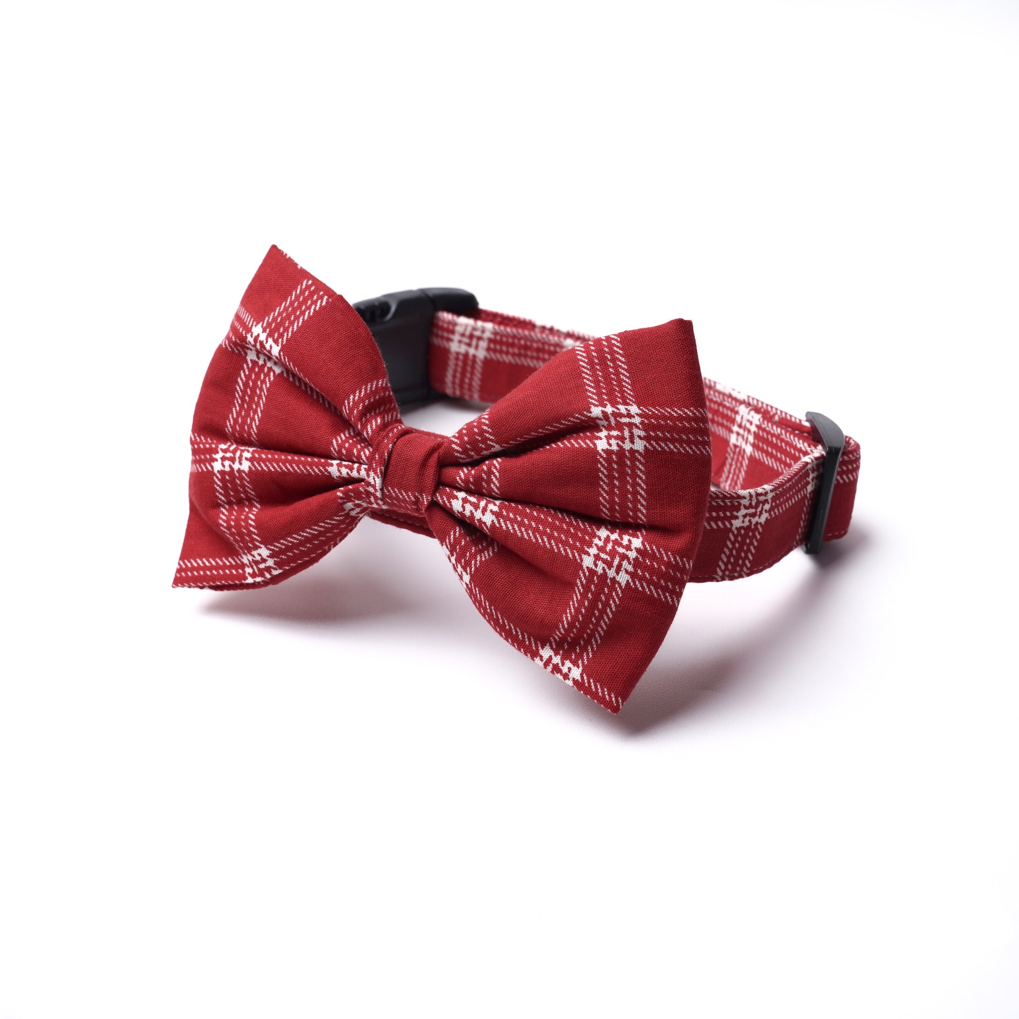 Bow Tie - Cider