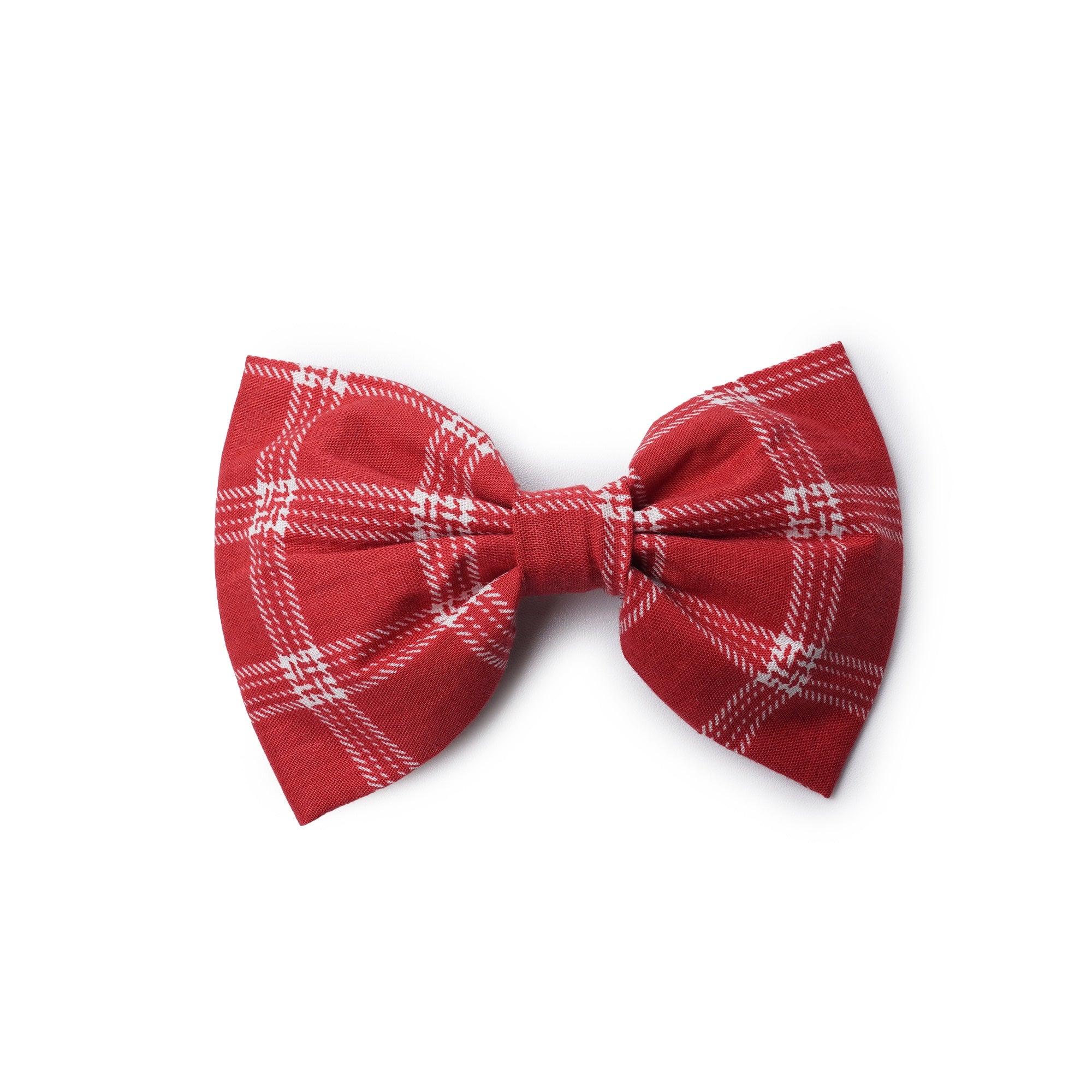 Bow Tie - Cider