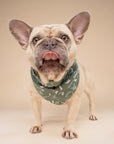 Bows Dog Bandana