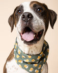 Brew Dog Bandana