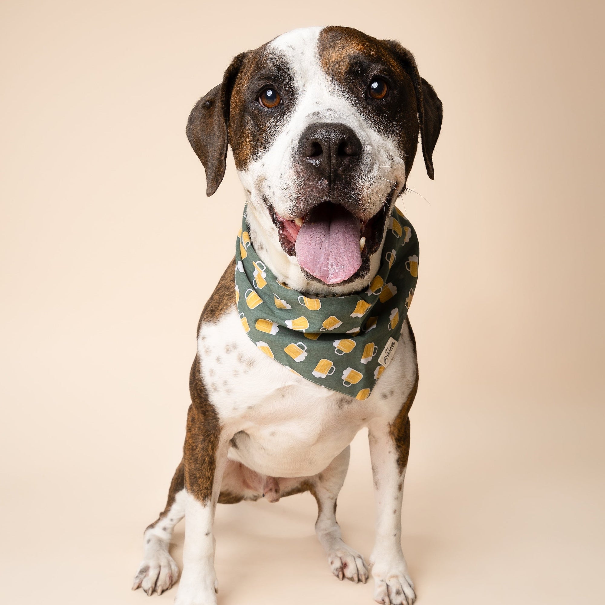 Brew Dog Bandana