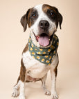 Brew Dog Bandana