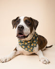 Brew Dog Bandana