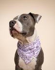 Bunny Dog Bandana