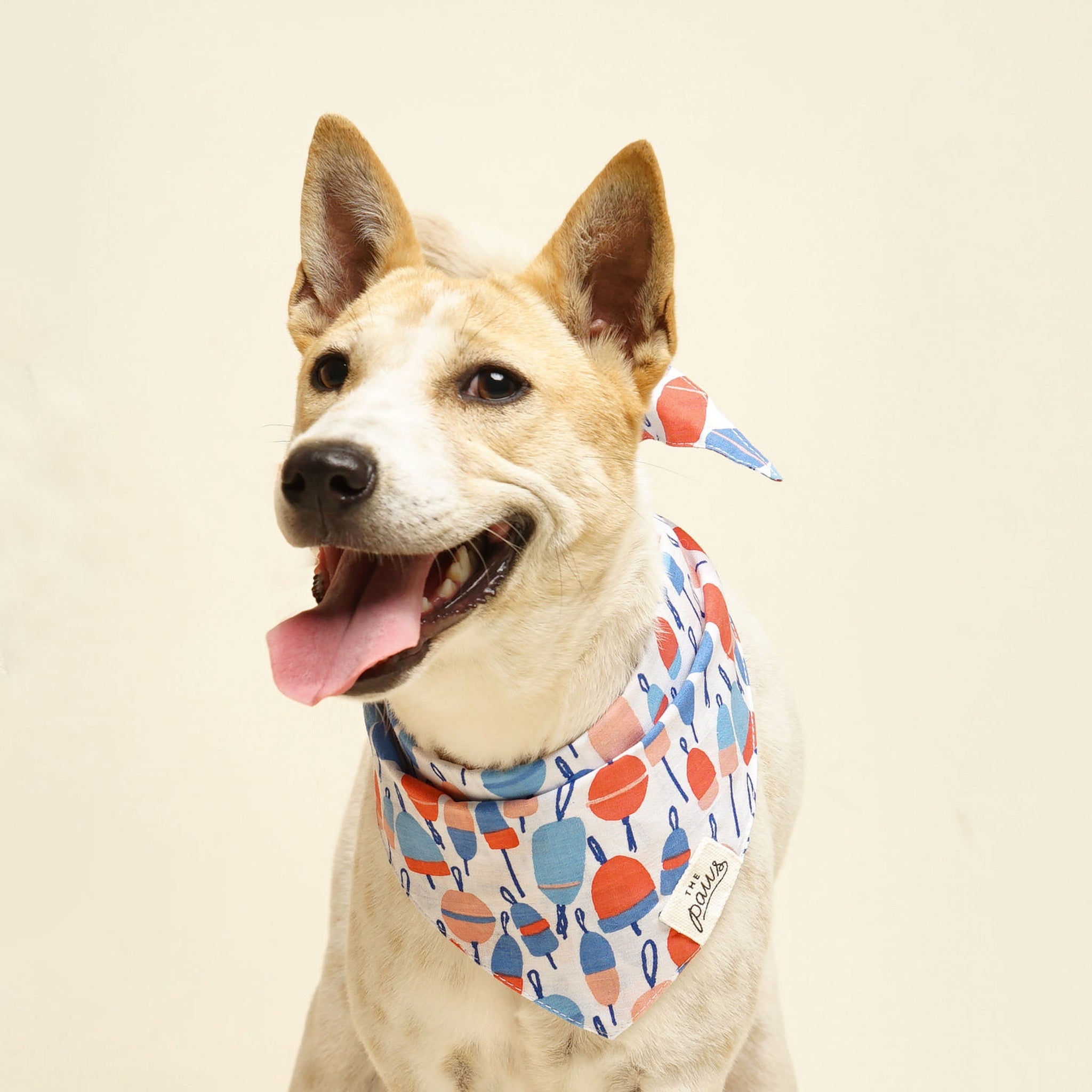 Buoy Dog Bandana