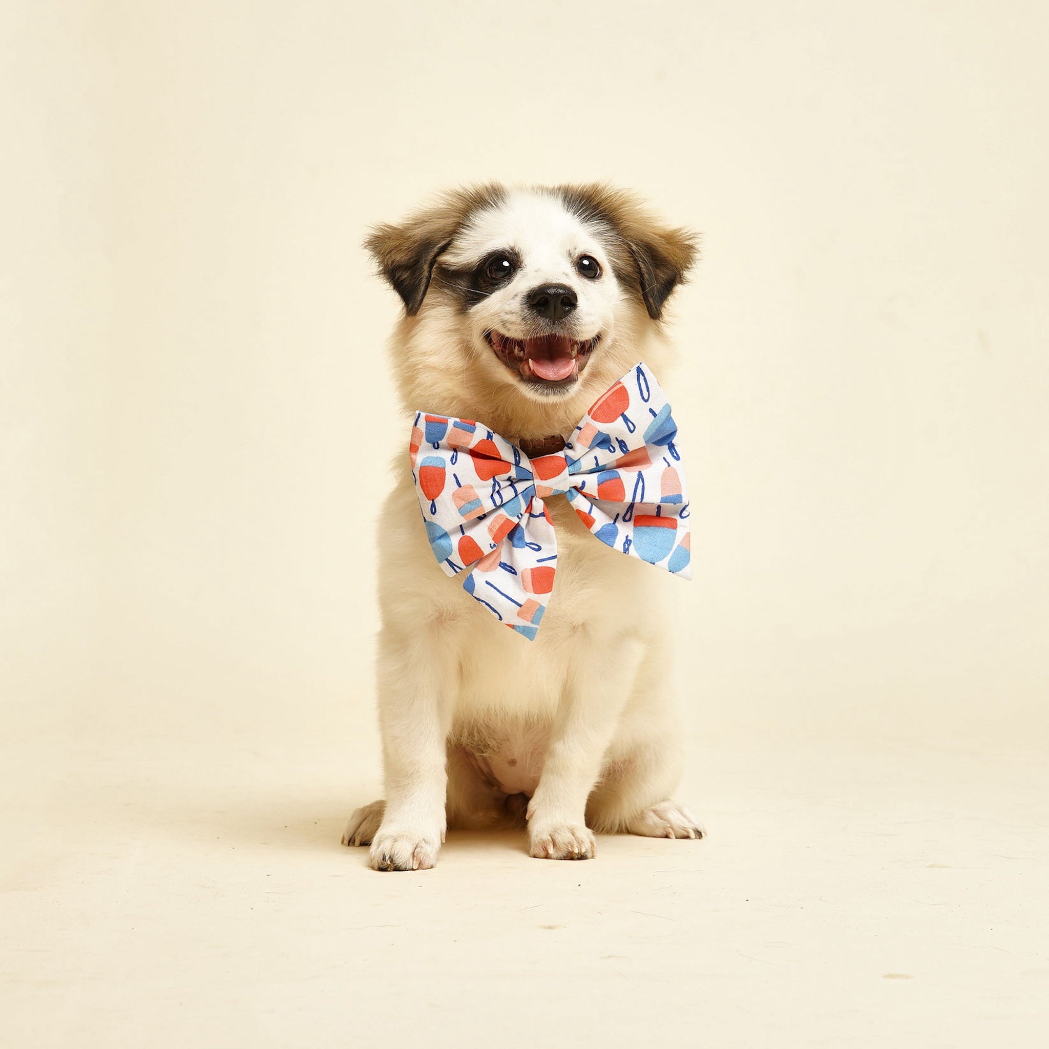 Buoy Dog Bandana