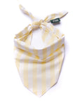 Butter Stripe Dog Bandana