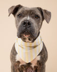 Butter Stripe Dog Bandana