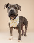 Butter Stripe Dog Bandana