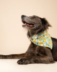 Buttercup Bandana from The Paws