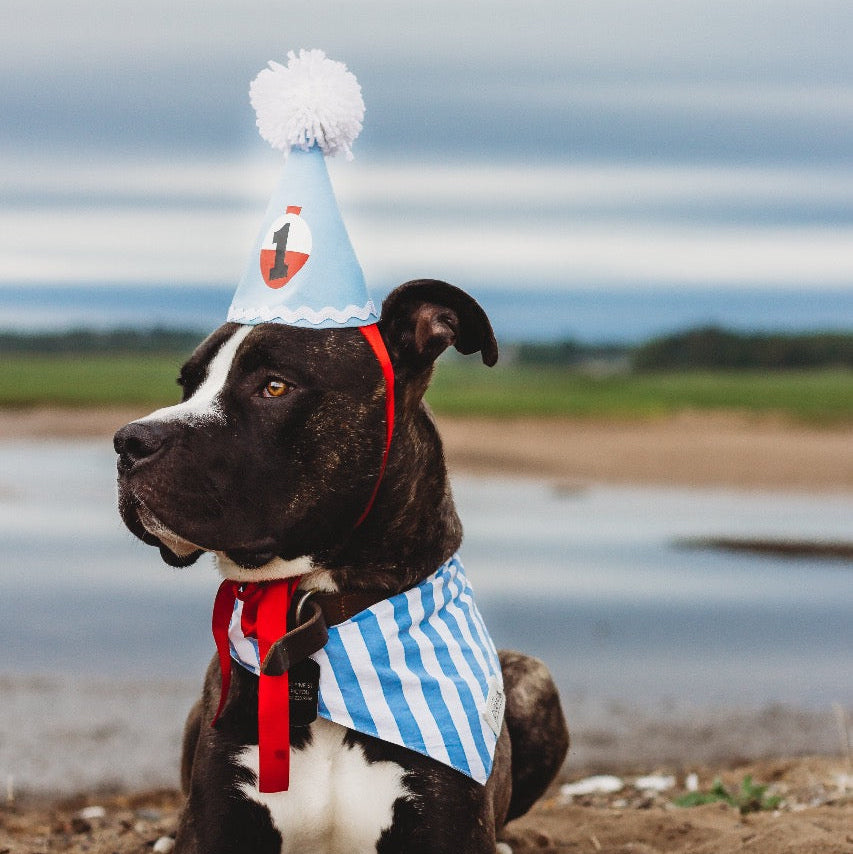 Cabana Blue Stripes Bandana - The Paws