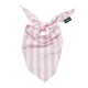 Cabana Blush Pink