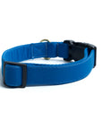 Candy Blue Collar