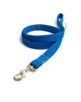 Candy Blue Leash