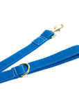 Candy Blue Leash