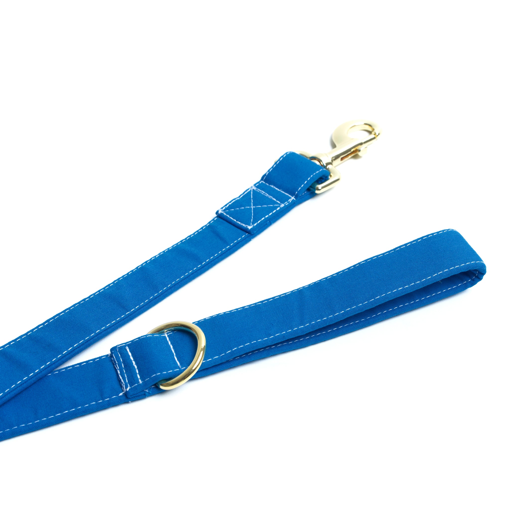 Candy Blue Leash