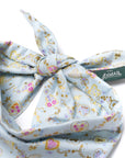 Charmed Dog Bandana