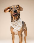 Checkers Dog Bandana