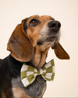 Bow Tie - Checkmate